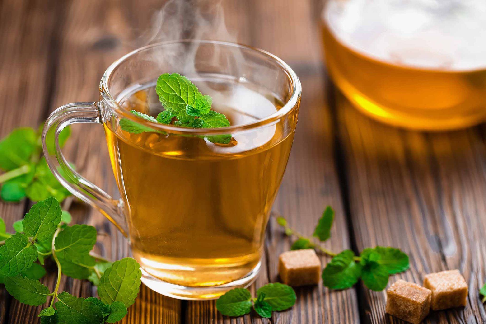 4 Information About Caffeine In Green Tea