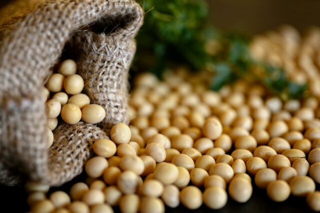 Benefits Of Soybeans