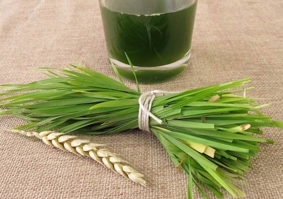 10 Reasons You should Eat Wheatgrass