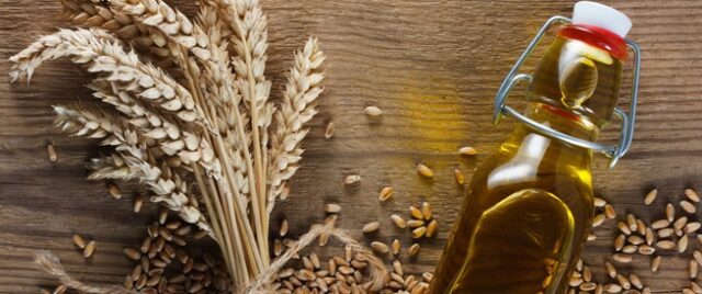 5 Healthy Reasons To Add Wheat Germ Oil In Your Daily Diet