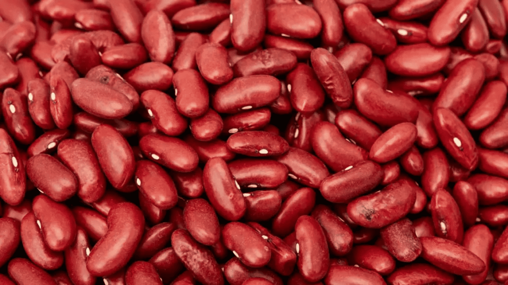Beans - protein rich alternatives