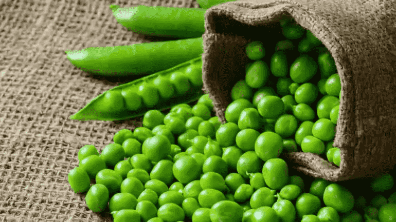 Green peas - protein rich alternatives