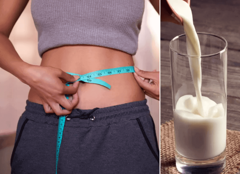 Milk Helps in Weight Loss