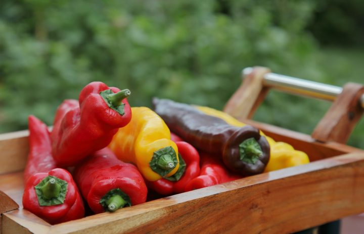 How to Make a Halloween Veggie Tray Kids Will Actually Eat