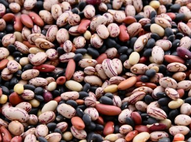 Assorted colorful dried beans and legumes at a farmer's market