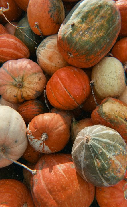Orange and green pumpkins piled together