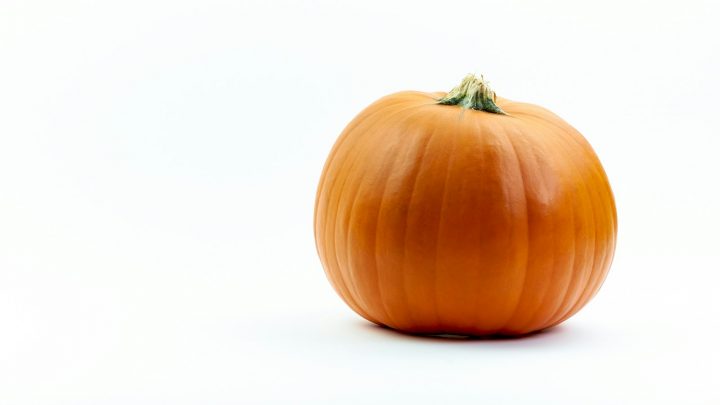 A large orange pumpkin on a white background