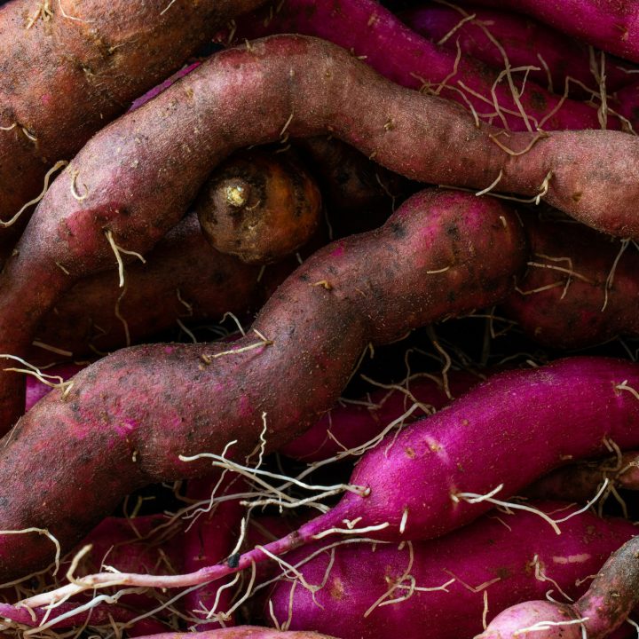 Pile of fresh purple-skinned sweet potatoes with roots