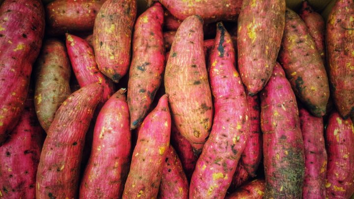 A pile of pink and yellow raw sweet potatoes
